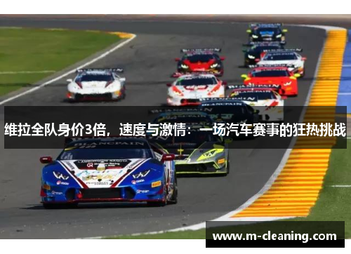维拉全队身价3倍，速度与激情：一场汽车赛事的狂热挑战